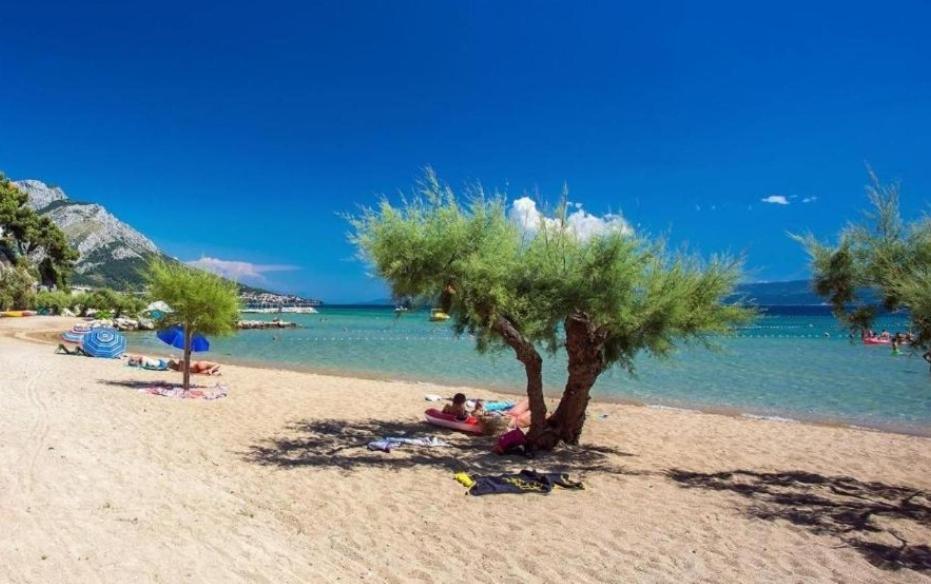Apartmani Ivica Martic Duće Εξωτερικό φωτογραφία